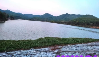 Hồ Đình Trắng (Hồ Va ) - Tân Tiến