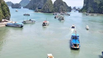 Iris Cruise Halong Bay - Bãi Cháy