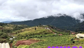Khu 37 Hộ - Kon Tum