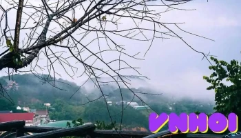 Khu Du Lịch Trang Trại Rau Và Hoa - Phường 7