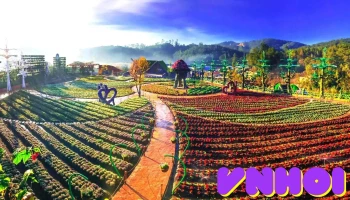 Khu du lịch Fresh Garden Dalat - Phường 5