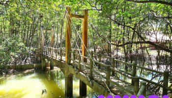 Khu Du Lịch Sinh Thái Dần Xây - An Thới Đông