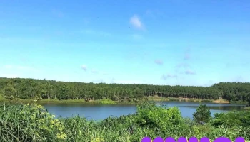 Khu Du Lịch Sinh Thái Đảo Yến - Bình Phước