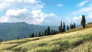 Khu du lịch Suối Thầu - Hà Giang