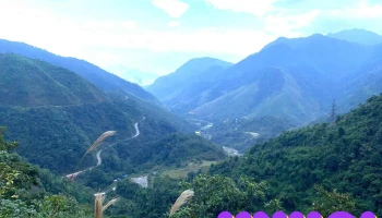 Khu Dự trữ Thiên nhiên Hoàng Liên Văn Bàn - Văn Bàn