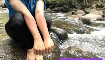 Khu Dự trữ Thiên nhiên Núi Ông - Bình Thuận