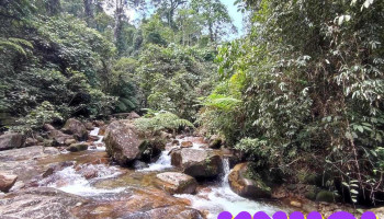 Khu Dự trữ Thiên nhiên Pù Hoạt - Nghệ An