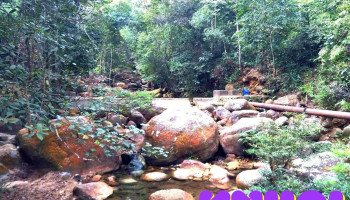 Khu Dự trữ Thiên nhiên Tây Yên Tử - Bắc Giang