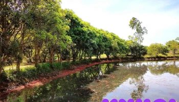 Khu Sinh Thái Rú Đưng - Xã Kim Thạch