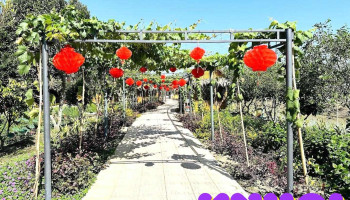 Khu sinh thái Sông Hậu Farm - Cần Thơ