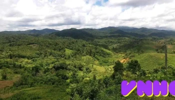 Khu Vườn Chữa Lành Bên Bìa Rừng - Kon Plông