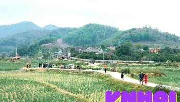 Làng Cổ Bắc Hoa - Tân Sơn