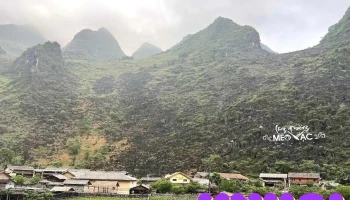 Làng H'Mông Pả Vi - Hà Giang