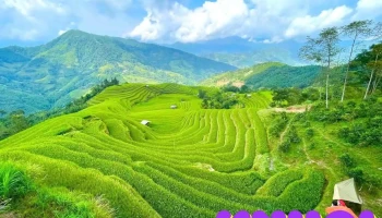Mâm xôi homestay - Hà Giang