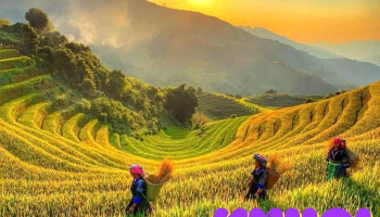 Mù Cang Chải - Yên Bái