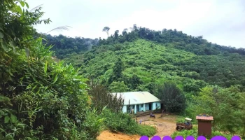 Măng Đen Discovery Retreat - Kon Plông