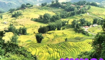 Mỏm đá sống ảo Y Tý _ms - Unnamed Road