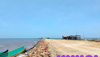 Ngã 3 Phú Mỹ ( Cây Bàng) - Kiên Giang