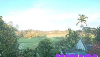 Ngôi nhà màu xanh - Hải Quy