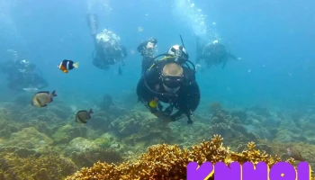 Nha Trang Fun Divers - Khánh Hòa