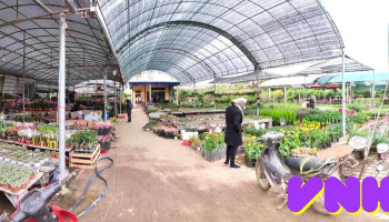 Nhà vườn Thúy Lý - Nam Định