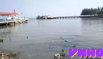 Phà Cần Giờ - Cần Giuộc - Road