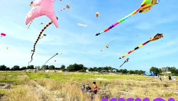 Phước Hải Wonderland - Phước Hải