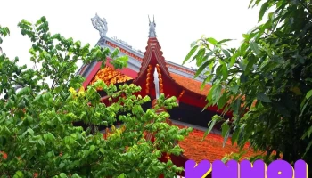Phủ Đồi - Kim Thoa linh Từ - Thờ Mẫu Liễu - Nam Định