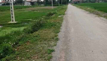 Quỳnh Hậu - Nghệ An