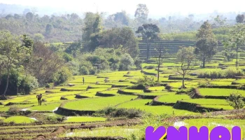 Ruộng bậc thang Chư Sê - Dun