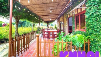Sadec Farmstay - Khu Du Lịch Hoa Kiểng Sa Đéc - Đồng Tháp
