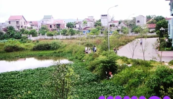 Sân vận động Hà Tĩnh - Nam Hà