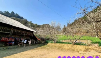 Say House ( Ta Van Chu - Bac Ha) - Tả Van Chư