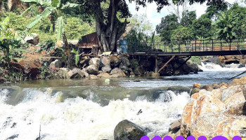 Suối Garden - Đắk Sắk
