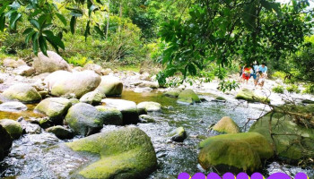Suối Nước Vàng garden - Lục Sơn