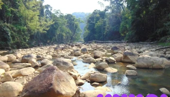 Suối đá tảng - Măng Đen