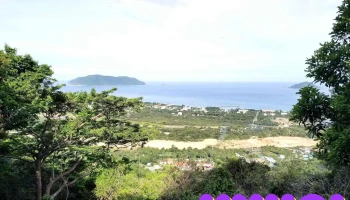 Sở Rẫy - Côn Đảo