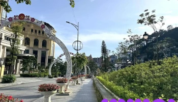 Tam đảo Vĩnh Phúc Việt Nam - Tt. Tam Đảo