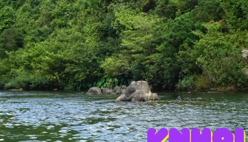 Thác Ma - Hải Chánh