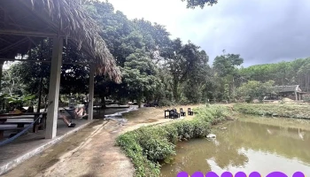 The Duck Tang Farm Quang Binh - Hưng Trạch