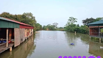 Thuận Thành - Bắc Ninh