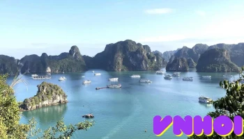 Ti Tốp Đỉnh núi Đảo - 107