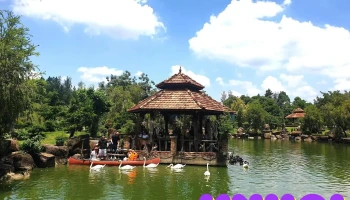 Ton Garden - Vĩnh Cửu