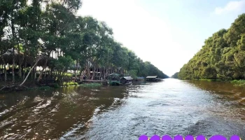 Tràm Chim - Đồng Tháp