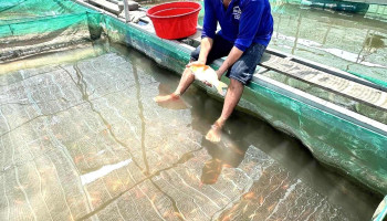 Trại Cá Giống Ba Cưởng - Hồng Ngự
