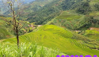 Trạm Tấu - Yên Bái