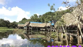 Trằm Trà Lộc - Xã Hải Hưng