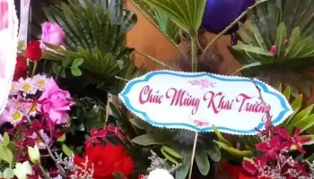 Trốn Yên Sen - Định Trung