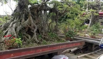 tt. Cồn - Nam Định