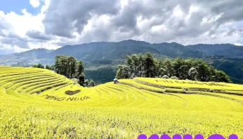 Vành móng ngựa - Yên Bái